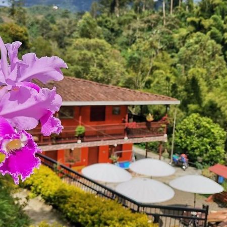 Hotel Orillas Del Pizano Jardín Buitenkant foto