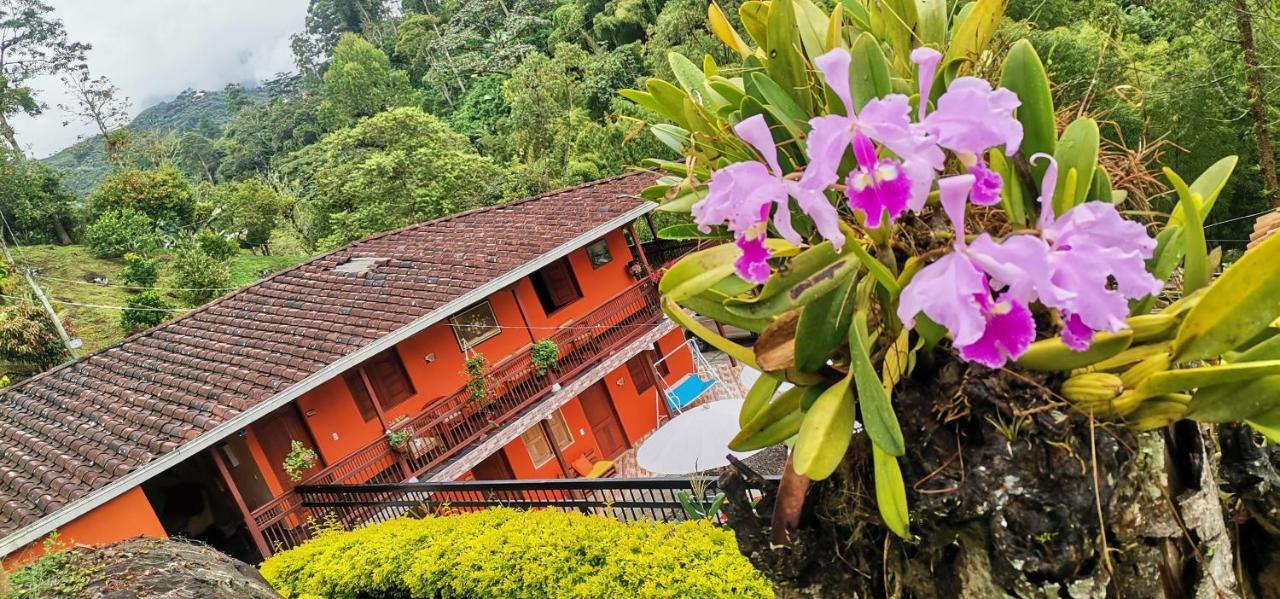 Hotel Orillas Del Pizano Jardín Buitenkant foto
