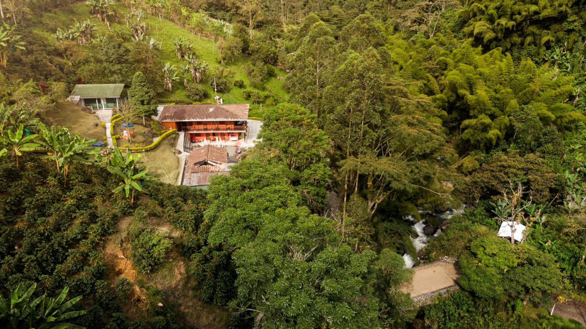 Hotel Orillas Del Pizano Jardín Buitenkant foto