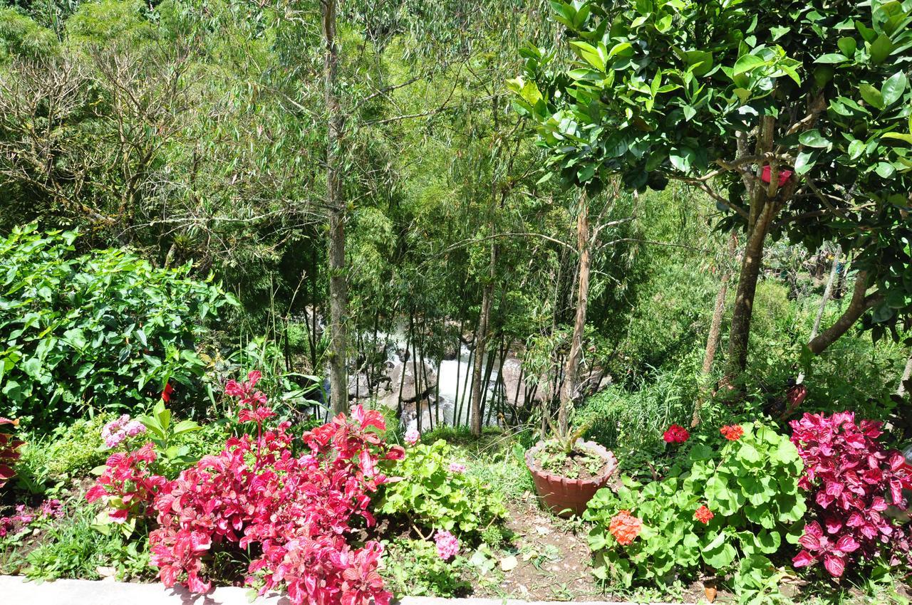 Hotel Orillas Del Pizano Jardín Buitenkant foto